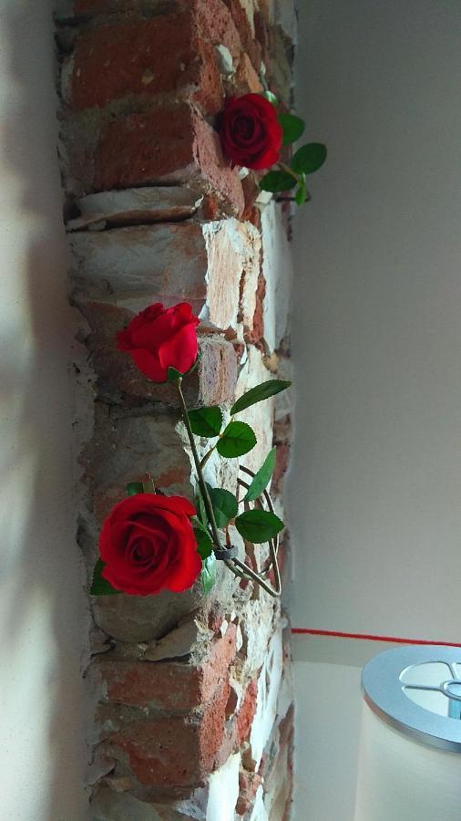 Bed and Breakfast Le rondini di San Donato Lucca Esterno foto